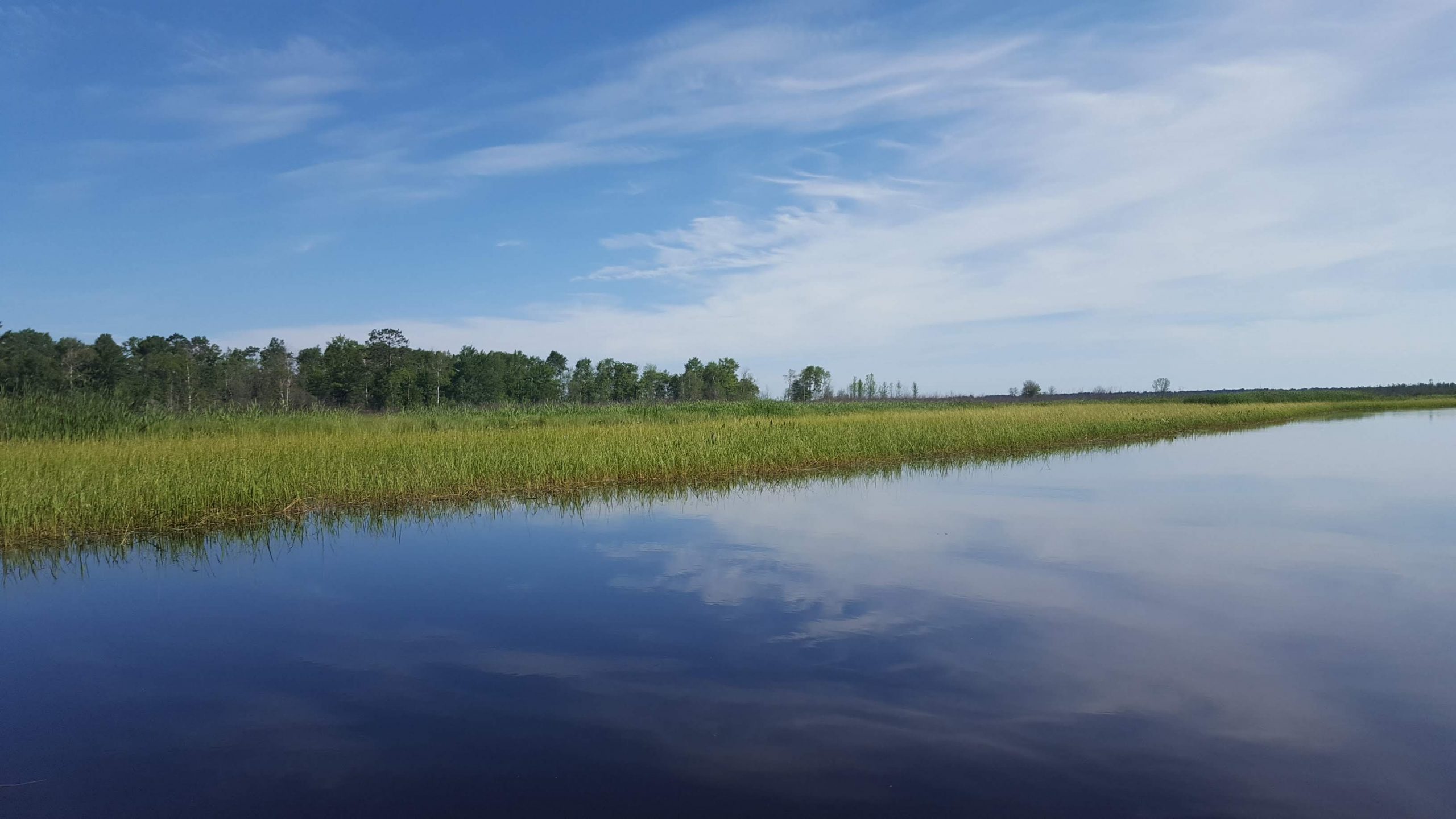 Bad River Watershed-Wide Wetland Functional Assessment - WSB