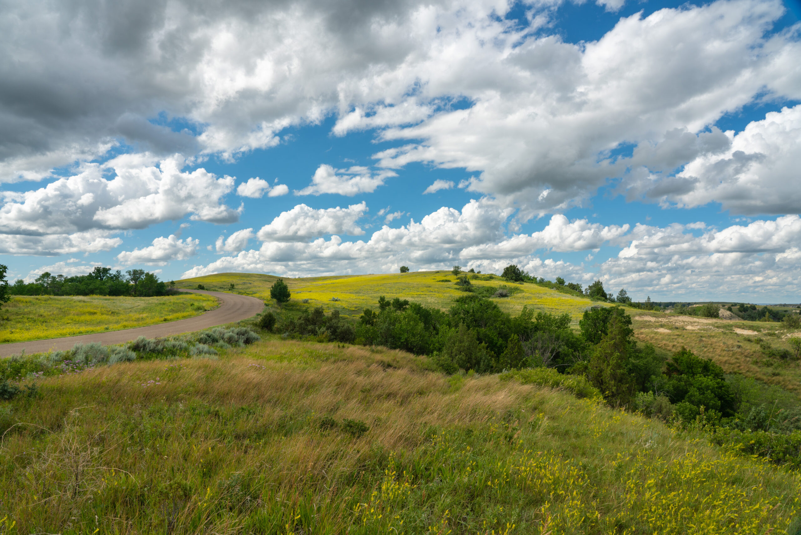 North Dakota